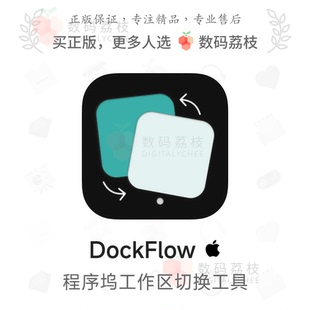 ****坞自定义布局 数码 Mac DockFlow Dock栏工作区切换配置 荔枝