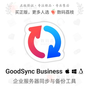 荔枝 Linux GoodSync Win 企业服务器传输同步备份 Business 数码