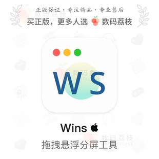 荔枝 Dock预览 Wins 多屏窗口管理工具 快捷分屏居中 Mac 数码