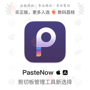 PasteNow数码 macOS剪贴板管理软件显示历史复制数据同步 荔枝正版