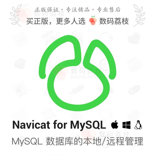数码荔枝| Navicat for MySQL[Mac/Win]数据库开发理想解决方案