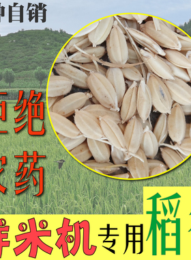 带壳稻子粳稻谷东北25年新稻鲜米机磨米机专用自磨人吃自碾无农药
