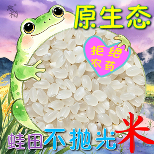 不抛光精白米东北蛙田原生态新鲜宝宝软糯粳米黑土地高质量辅食