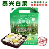 包邮 3斤半 新果礼盒装 泰州特产大佛指泰兴白果新鲜银杏果天然当季
