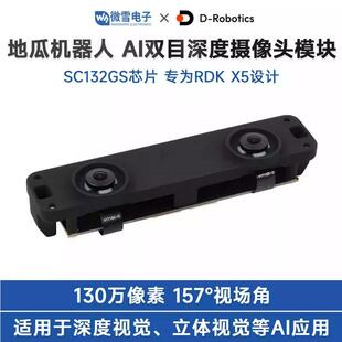 AI 双目深度摄像头模块 SC132GS 全局快门 RDK X5适用 130万像素