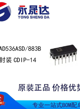 AD536ASD/883B 封装CDIP-14  交流/直流转换器