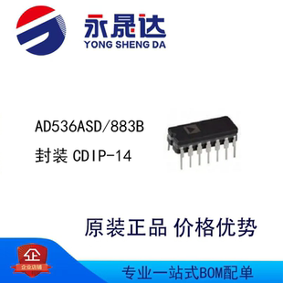 AD536ASD/883B 封装CDIP-14  交流/直流转换器
