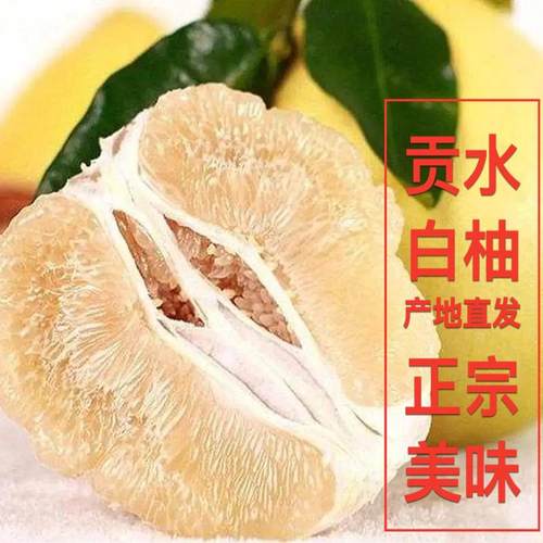 贡水白柚恩施柚子宣恩柚新鲜蜜柚