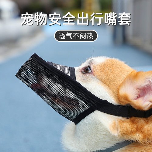 狗狗嘴套嘴巴套可喝水边牧狗嘴套外出狗嘴套宠物用品不易伤嘴