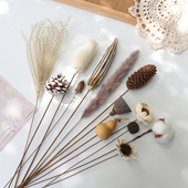 侘寂风莲蓬松果葫芦天然干花材料插花家居民宿装 饰原生态植物禅意