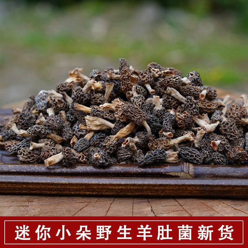 新货小朵野生羊肚菌干货正宗纯野生羊肚菌羊肚蘑菇煲汤食材野生菌