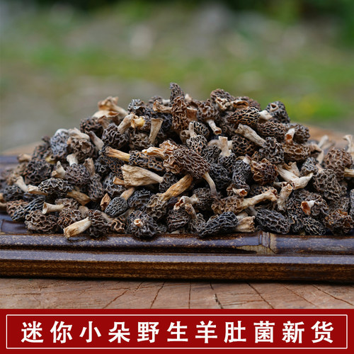 新货小朵野生羊肚菌干货正宗纯野生羊肚菌羊肚蘑菇煲汤食材野生菌