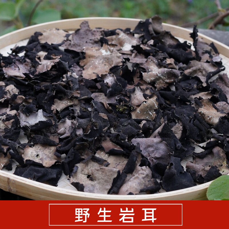 野生岩耳干货秦岭高山自然生长纯野生岩耳石耳炖汤岩菇炖土鸡菌菇
