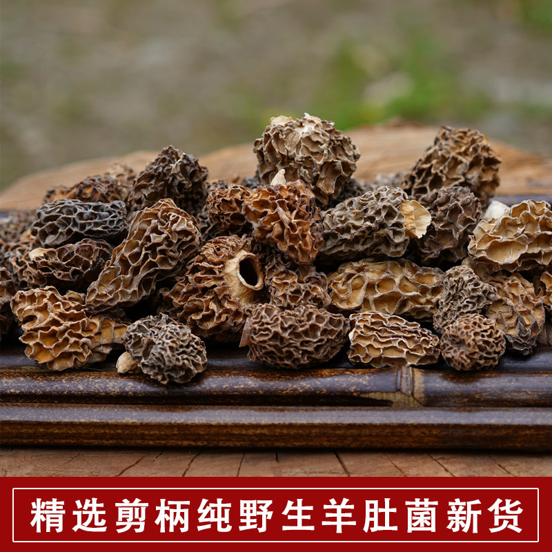 精选剪柄野生羊肚菌干货正宗纯野生羊肚蘑菇煲汤食材野生菌500g