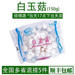 新鲜白玉菇1盒150g 白玉菇菌菇鲜白玉菇 非干货食用煲汤火锅食材