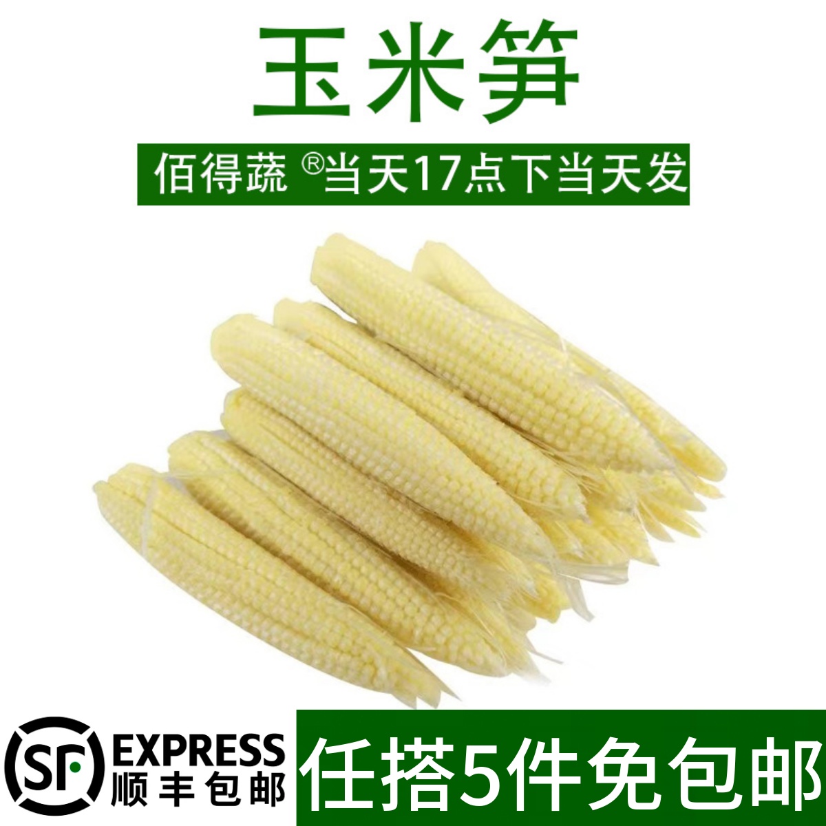 新鲜玉米笋迷你甜玉米芯蔬菜沙拉