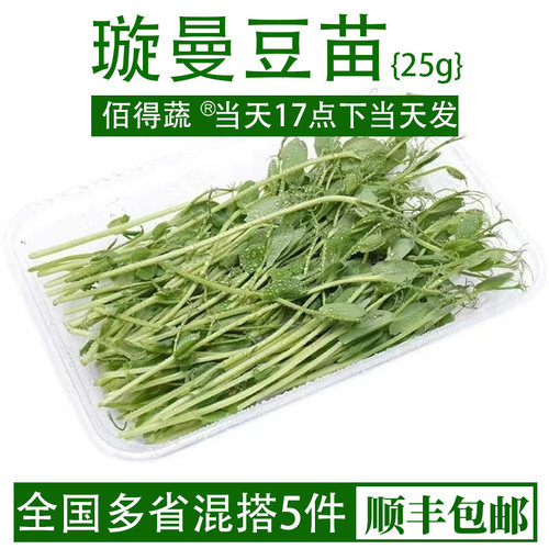新鲜水培璇蔓豆苗25gPeaShoots