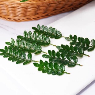 清香木蛋糕装 饰摆盘点缀花草胡须金香木胡椒木 饰用叶子新鲜烘培装