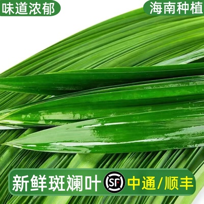 斑斓叶新鲜食用香兰叶千层蛋糕