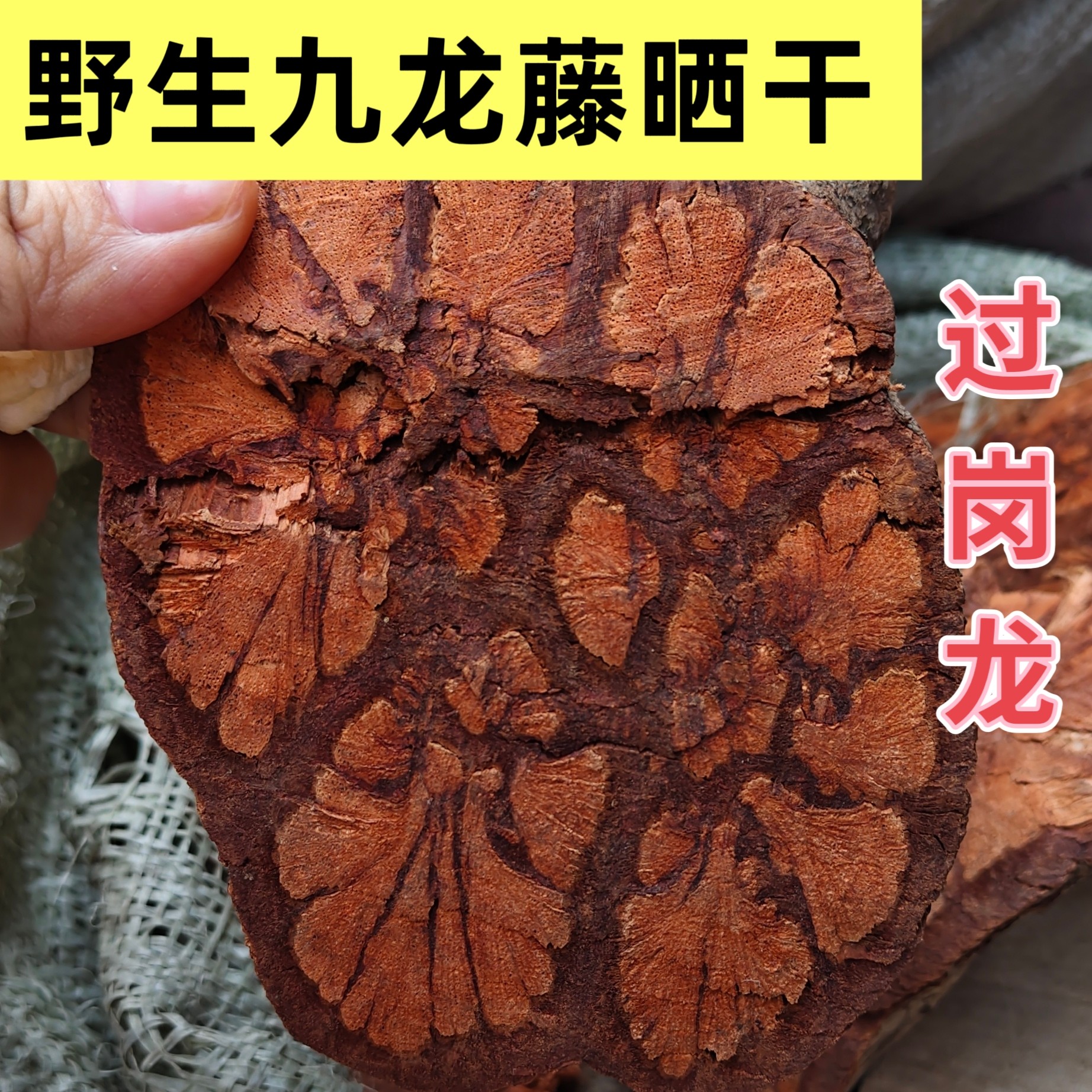 野生晒干九龙藤过岗龙中药材梅花入骨丹五花血过龙须藤干货真品