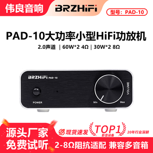 伟良音响 PAD-10大功率家用数字功放机hifi发烧级桌面小型纯后级