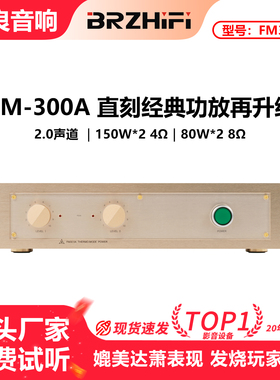 99.9%直刻FM ACO STICS FM300A经典功放机 秒达萧的普通机型