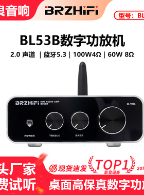 伟良音响BRZHIFI家用数字功放BL53B便携高保真TPA3221芯片蓝牙5.3