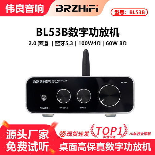伟良音响家用数字功放BL53B便携