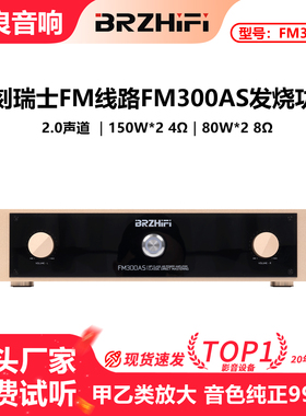伟良大功率功放机FM300AS发烧hifi甲乙类后级音响直刻瑞士FM线路