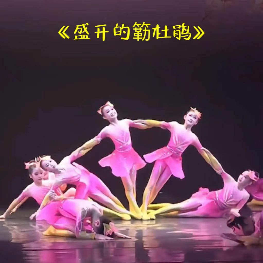 盛开的簕杜鹃舞蹈演出表演服装少儿群舞金奖桃李杯杜鹃花开开场舞