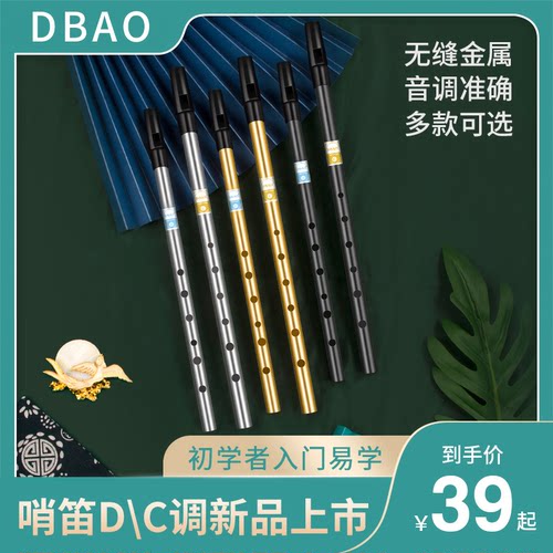 爱尔兰哨笛6孔C调D调金属笛子