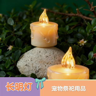 宠物殡葬祭祀烧纸祭奠殡葬去世头七三七尾七电子蜡烛宠物长明灯