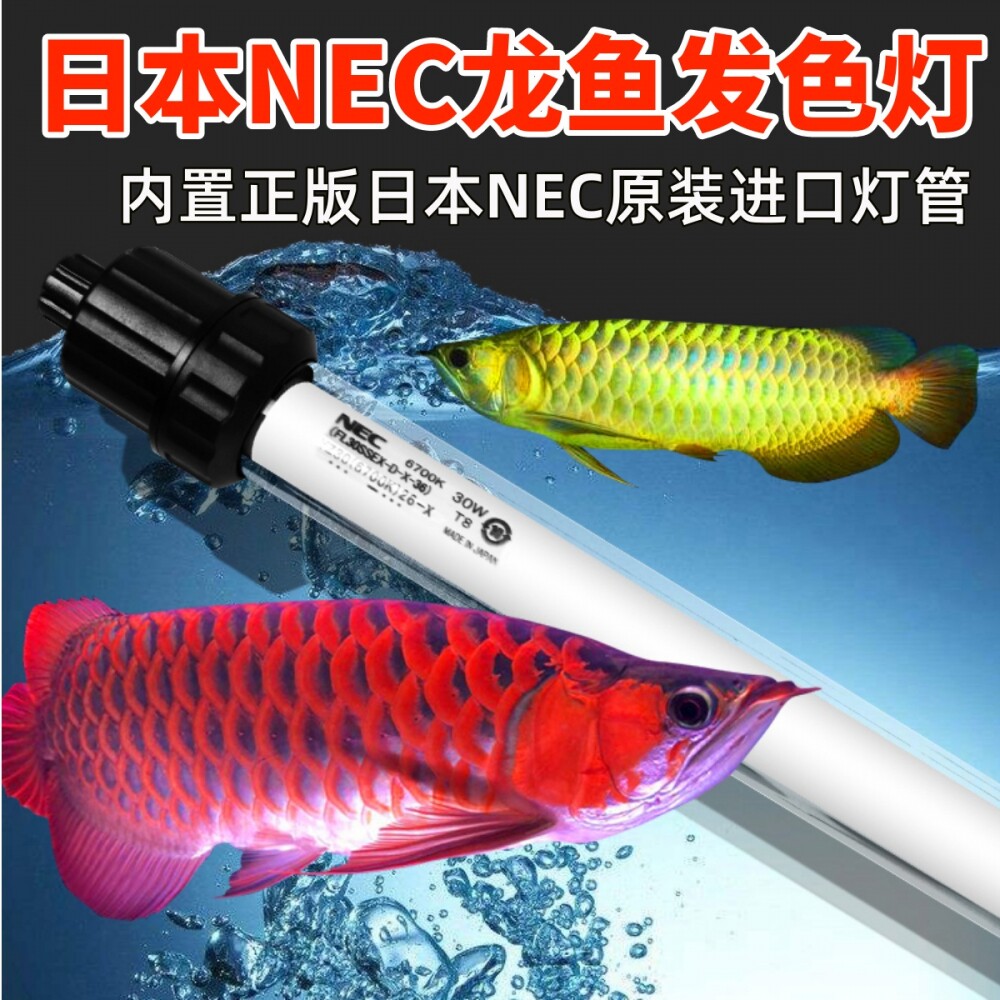NEC日本正品潜水龙鱼灯