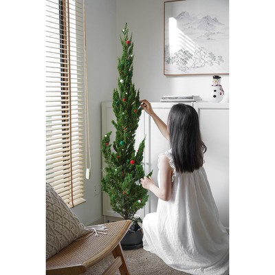 是鲜活的圣诞树真树圣诞节礼物