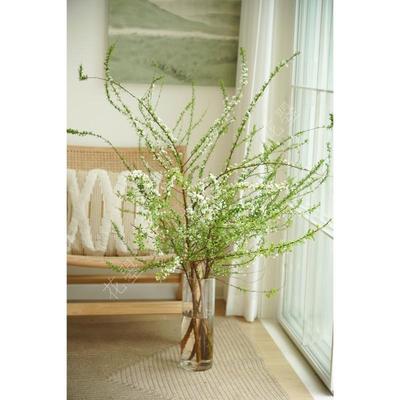 雪柳鲜枝雪柳花鲜花花瓶插花