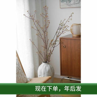 花曌 新鲜灯台木鲜切枝条水养家居瓶插花可做干花新年春节年宵花