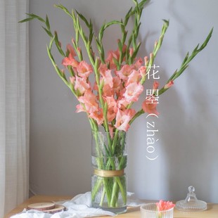 剑兰鲜花唐菖蒲鲜花节节高鲜花剑兰鲜花 10支剑兰水养剑兰花 鲜花