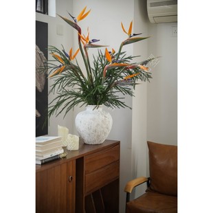 天堂鸟鲜花水养真花瓶插花格调十足高级插花艺诧寂中古风组合花材