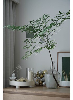 花曌 绿色南天竹植物鲜切枝条鲜切花水养鲜花家用家居办公室插花