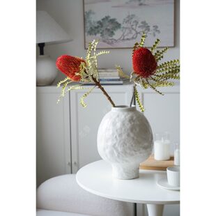 橙色红色年宵花南非进口佛塔花干花真花瓶插花永生花客厅书房装饰