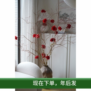 年宵花鲜花鲜切花金龙柳鲜切植物水养红色绣球花永生花喜庆插花材
