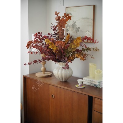 秋色尤加利叶永生花真花