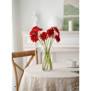 花曌 家用鲜花水养弗朗花扶郎花鲜花插花红色鲜花新年春节年宵花