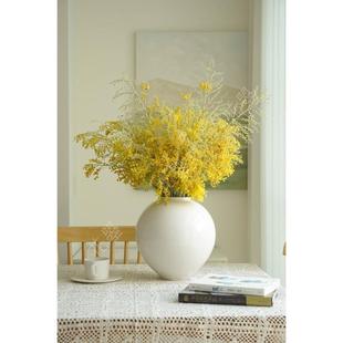 金合欢鲜花水养真花鲜切花可做干花家居餐桌面花瓶插花圣诞花鲜花