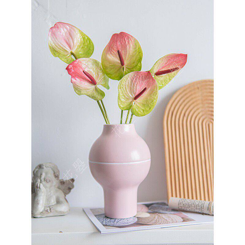 红掌植物室内红掌花水养粉掌白掌绿掌鲜花直批全国顺丰快递鲜切花