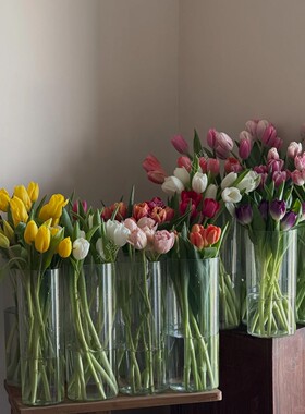 郁金香鲜花水养真花瓶插花白色紫色粉色黄色郁金香重瓣郁金香花材