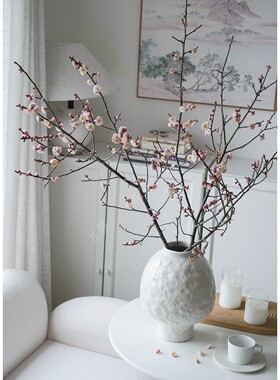 梅花鲜枝梅花鲜花梅花枝条水养鲜花真花瓶插花粉色梅花红梅花桌面
