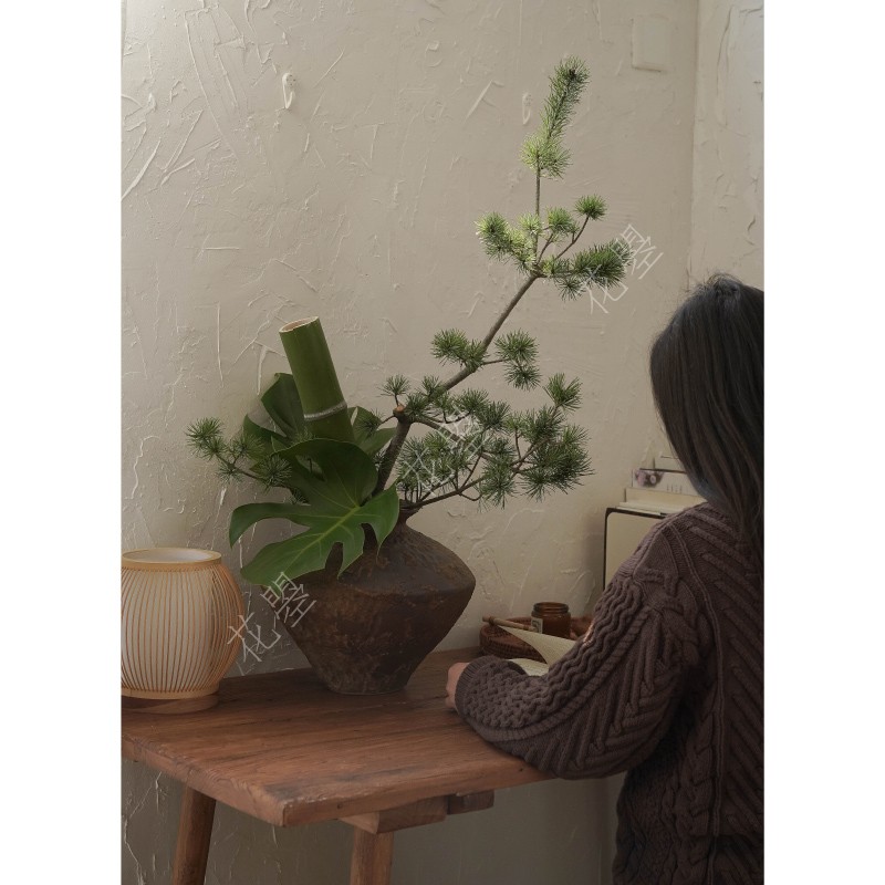 五针松龟背叶组合插花