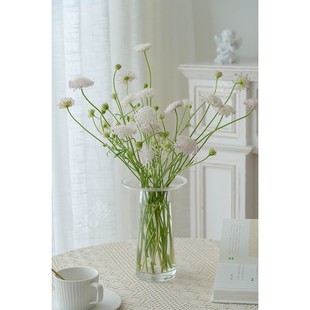 花曌 浅粉白色翠珠鲜花水养自然风花材插花家居鲜花全国顺丰快递