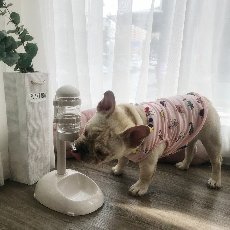 狗狗喝水器不湿嘴宠物挂式滚珠饮水壶泰迪狗喂水小狗自动喂食器